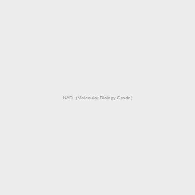 NAD  (Molecular Biology Grade)